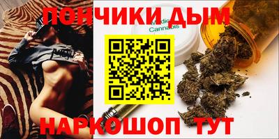 молекула духа Будённовск