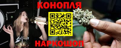 молекула духа Будённовск